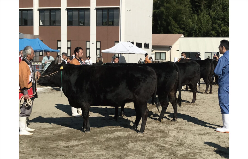 たき松阪肉牛まつり in VISON（第57回多気町肉牛共進会）