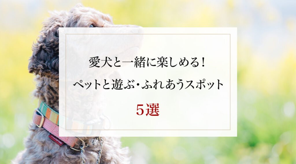 愛犬と一緒に楽しめる！ ペットと遊ぶ・ふれあうスポット5選