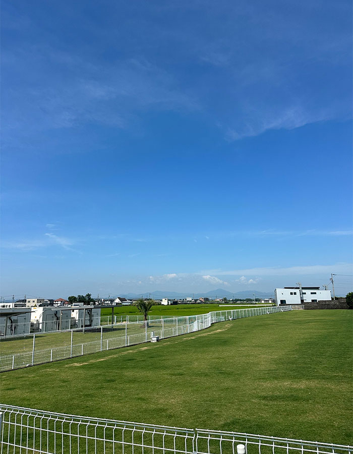 広々としたドッグランで愛犬と遊ぼう！1