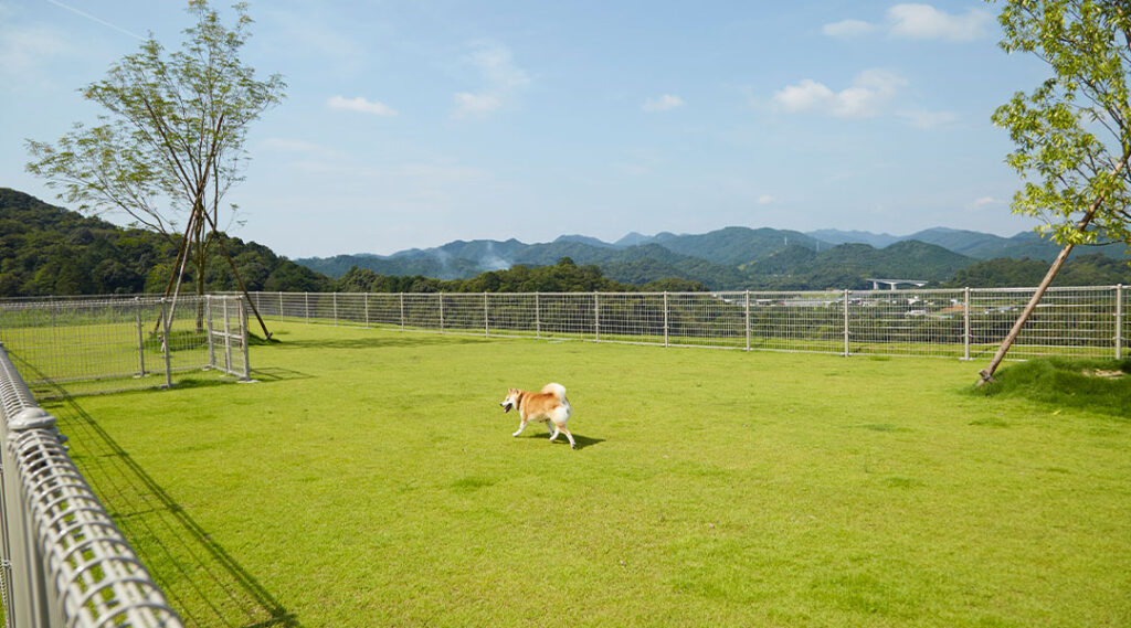 人とどうぶつが共に輝き、つながる場所3