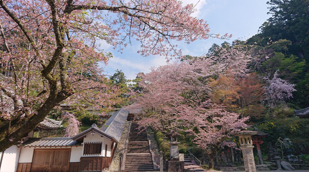 四季折々の風情を魅せる弘法大師ゆかりのお寺1