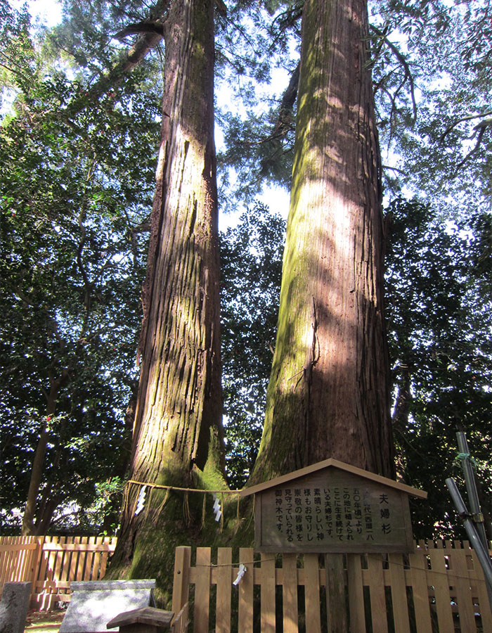 静謐な鎮守の森で神話の世界に思いを馳せる4