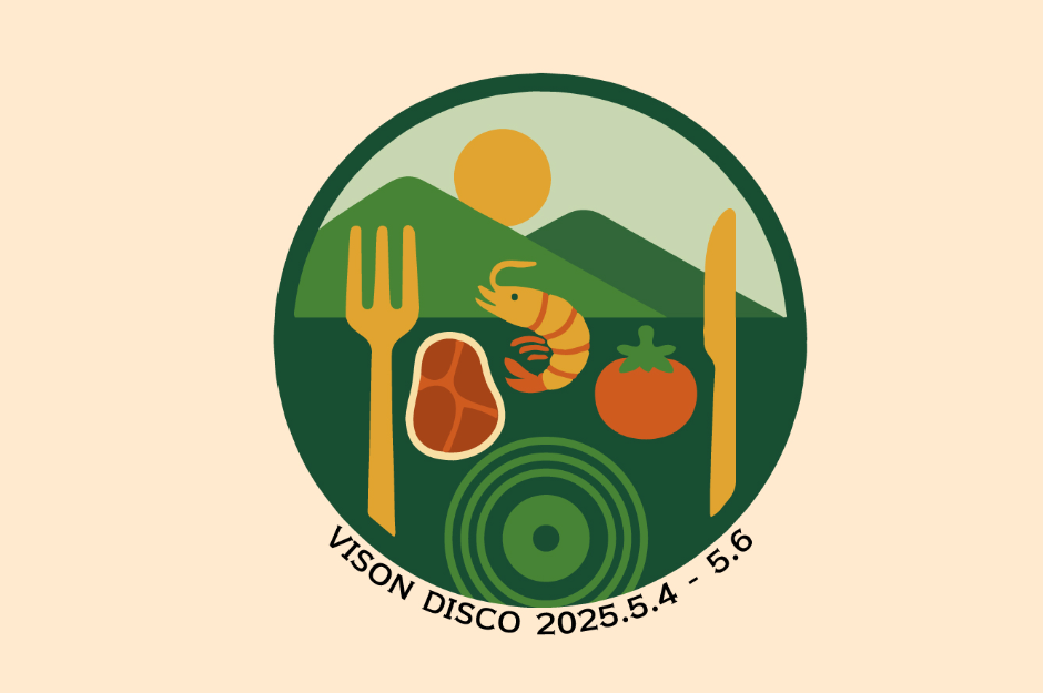 VISON DISCO