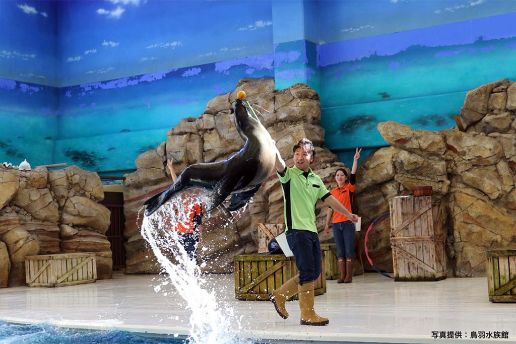 ジュゴンやラッコに会える大人気の水族館_鳥羽水族館4