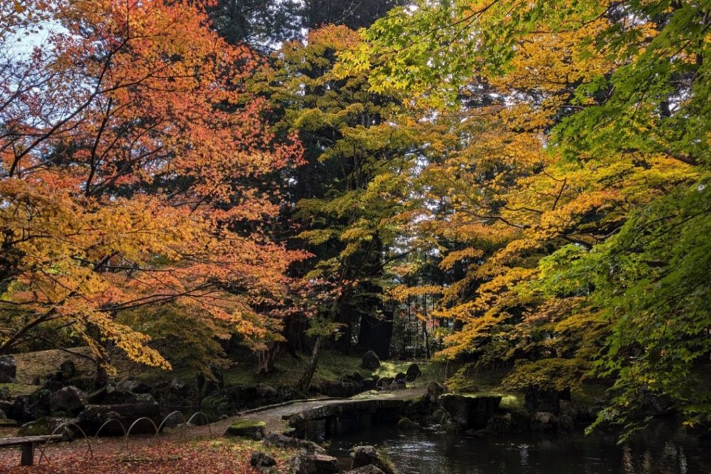 歴史ある名庭園で紅葉狩り北畠氏館跡庭園1