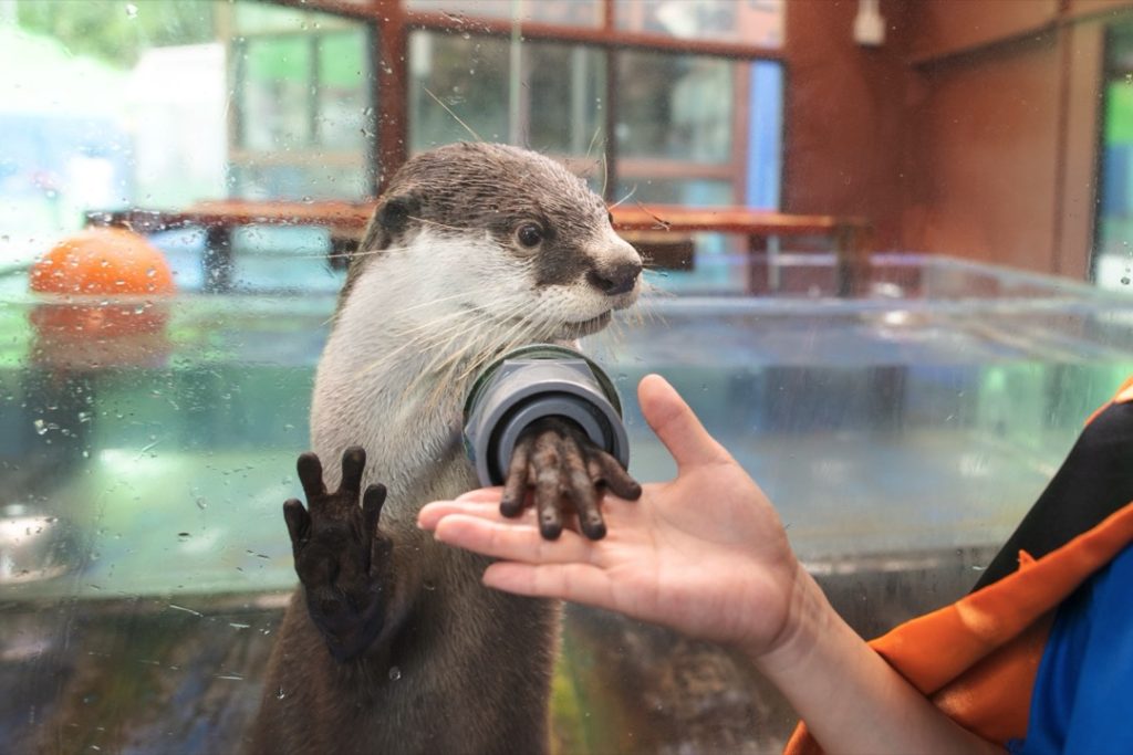 海の生き物と「ゼロ距離」でふれあおう！ゼロ距離水族館 伊勢シーパラダイス2