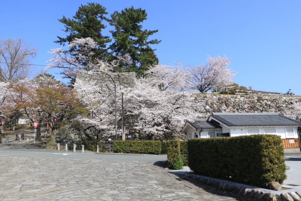 松阪の歴史を物語る迫力たっぷりの石垣_松坂城跡（松阪公園）2