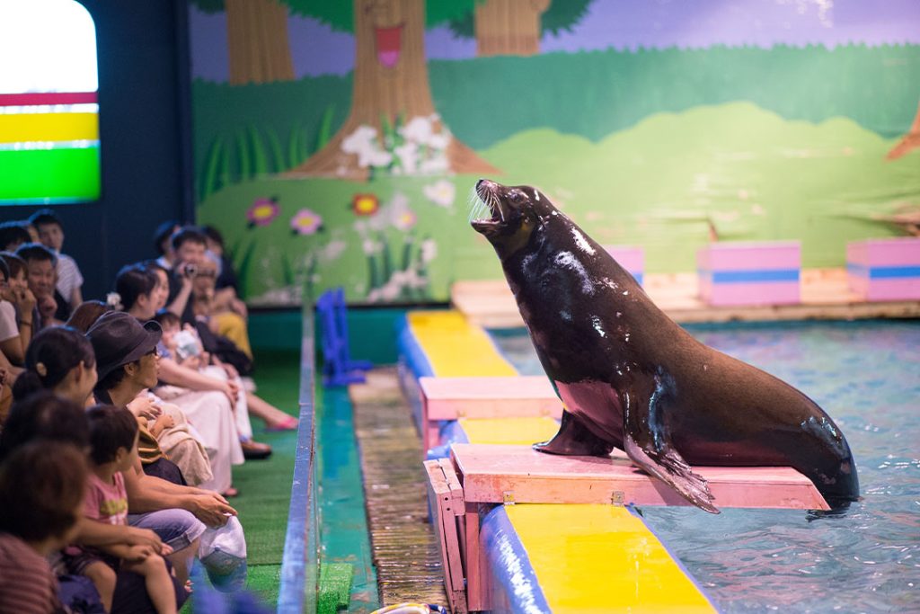 海の生き物と「ゼロ距離」でふれあおう！ゼロ距離水族館 伊勢シーパラダイス3