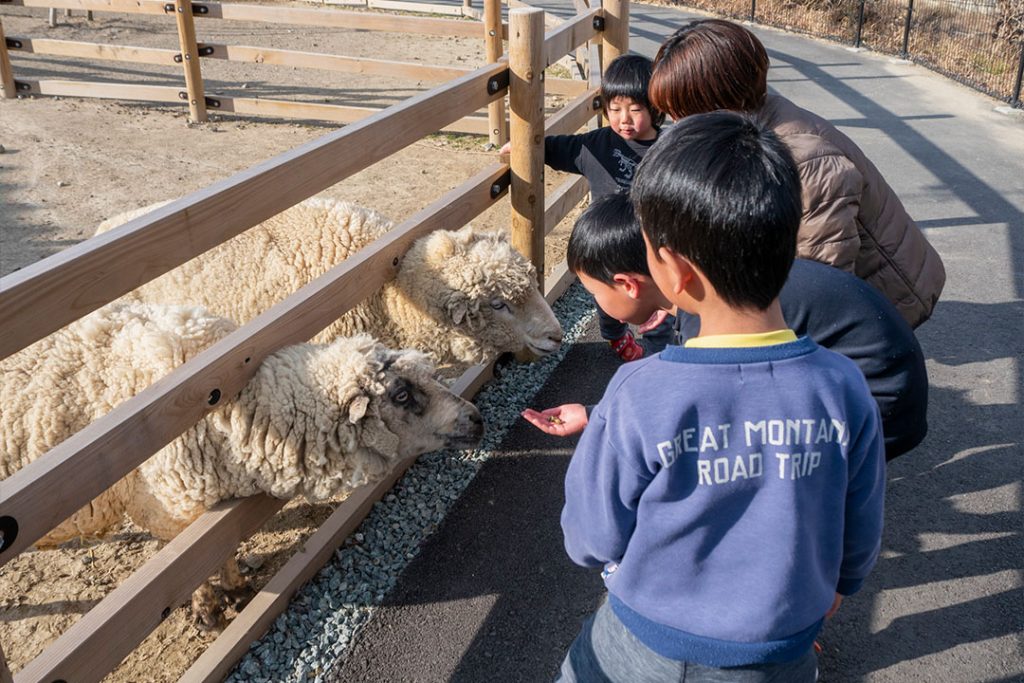 地元に愛される動物園がリニューアル！ごかつら池どうぶつパーク1