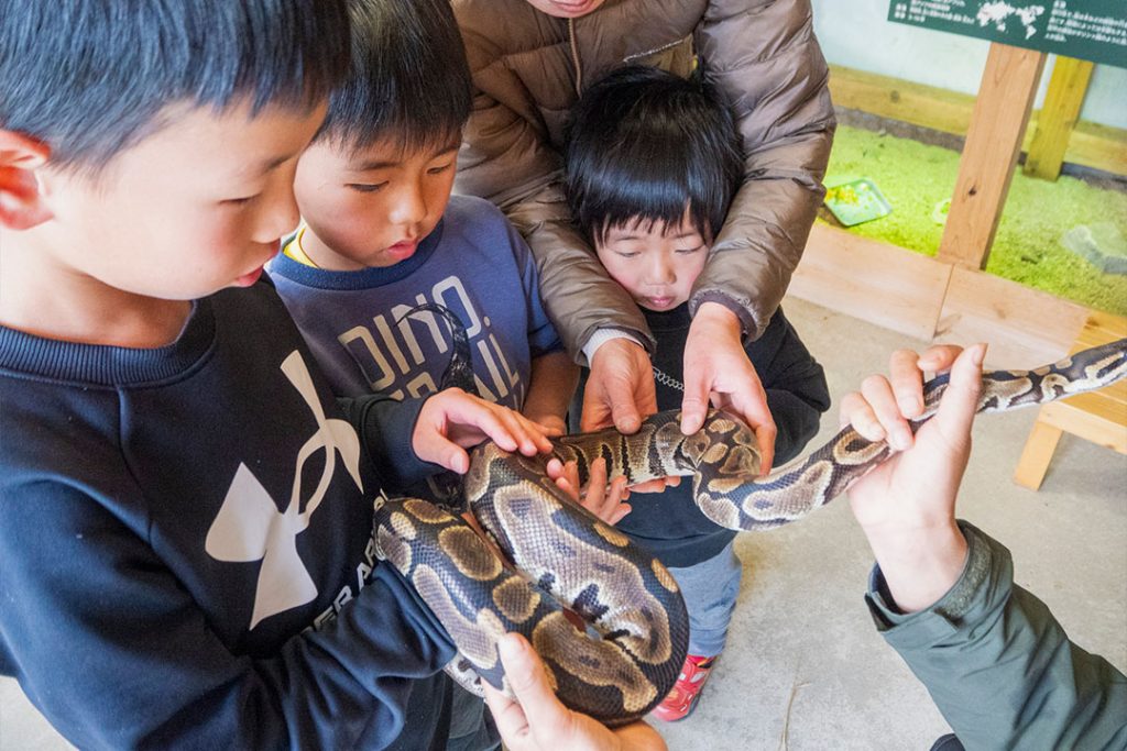 地元に愛される動物園がリニューアル！ごかつら池どうぶつパーク2