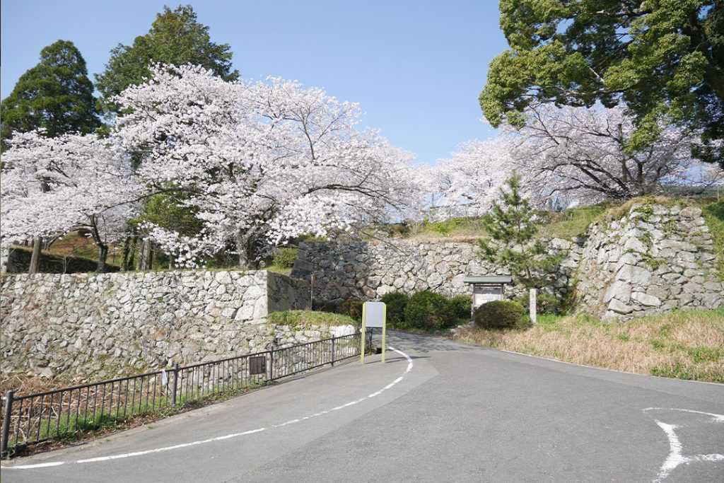 自然と調和して気高く佇む名城跡_田丸城跡1