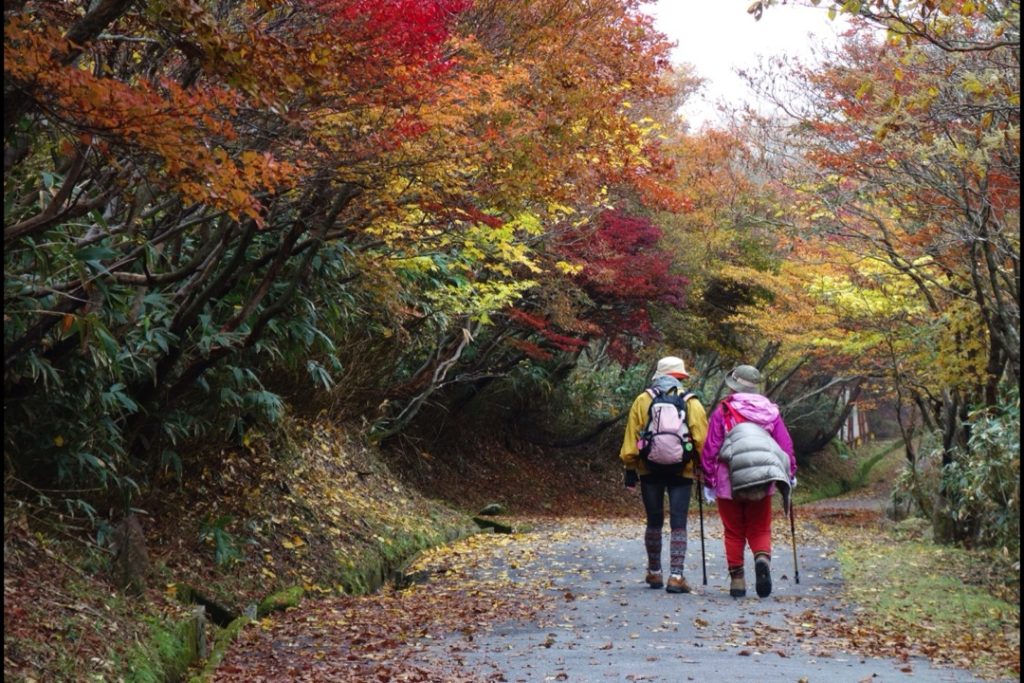 山頂から降りてくる紅葉の歩みを望む御在所ロープウエイ3