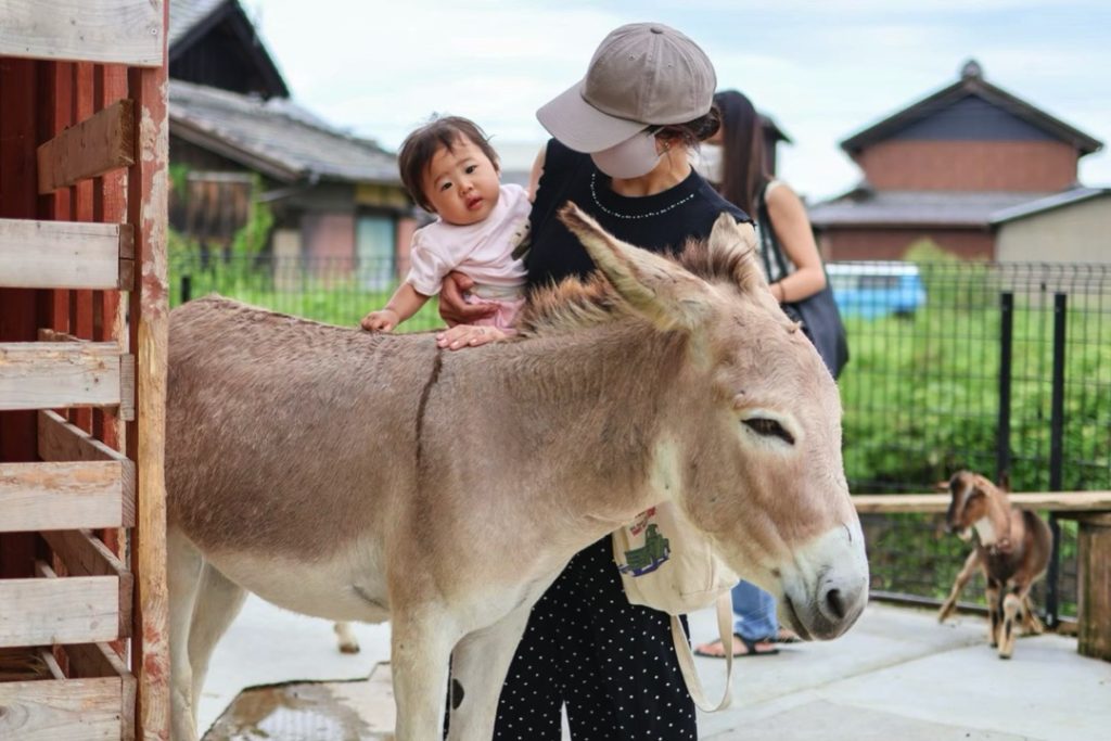 入園無料！ ふれあいがいっぱいの動物園タケガワふれあい動物園4