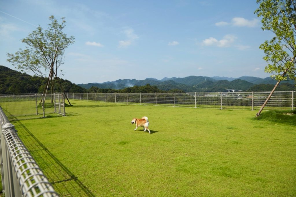 人と動物がつながり、笑顔が生まれる場所ani TERRACE4