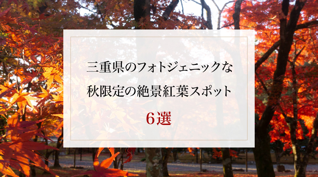 フォトジェニックな秋限定の絶景 紅葉スポット6選 | VISON