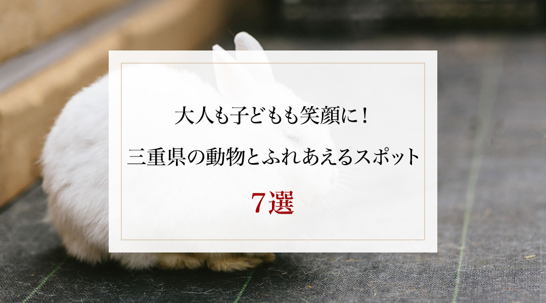 大人も子どもも笑顔に！ 動物とふれあえるスポット 7選 | VISON HOTELS