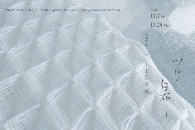 exhibition vol.14 PACE 山田弘美《ツルの白布》展