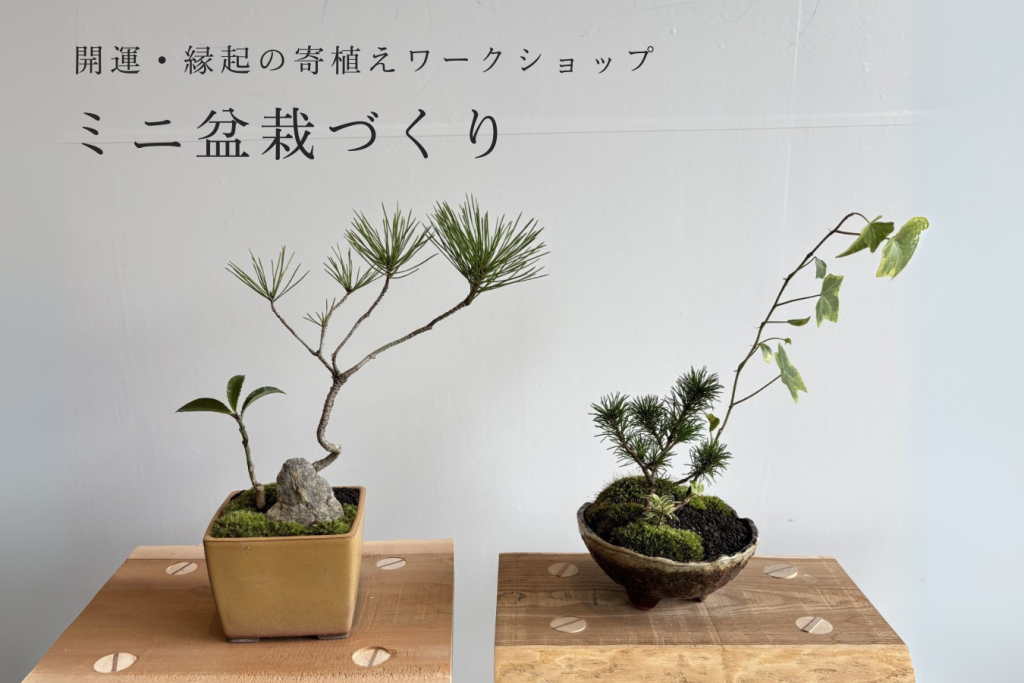 新年の福を呼び込む！【開運・縁起の寄植え】ミニ盆栽づくり